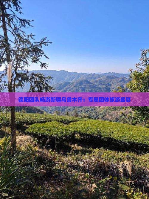 德阳团队畅游新疆乌鲁木齐：专属团体旅游盛宴