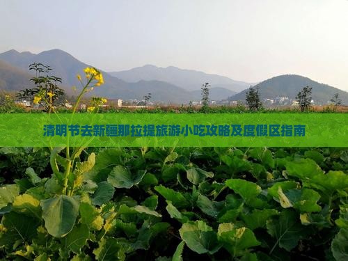 清明节去新疆那拉提旅游小吃攻略及度假区指南
