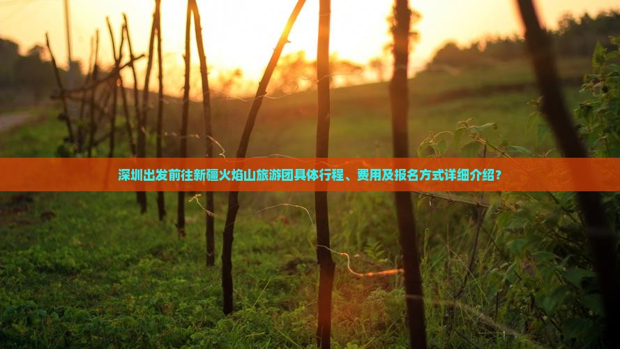 深圳出发前往新疆火焰山旅游团具体行程、费用及报名方式详细介绍？