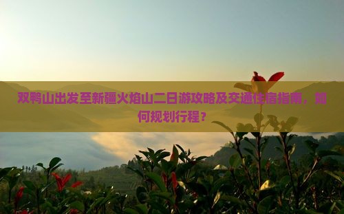 双鸭山出发至新疆火焰山二日游攻略及交通住宿指南，如何规划行程？