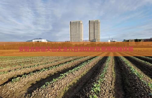 安阳去新疆天山天池六日游攻略及费用路线详解