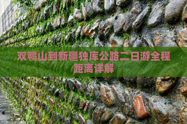 双鸭山到新疆独库公路二日游全程距离详解
