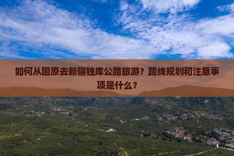 如何从固原去新疆独库公路旅游？路线规划和注意事项是什么？