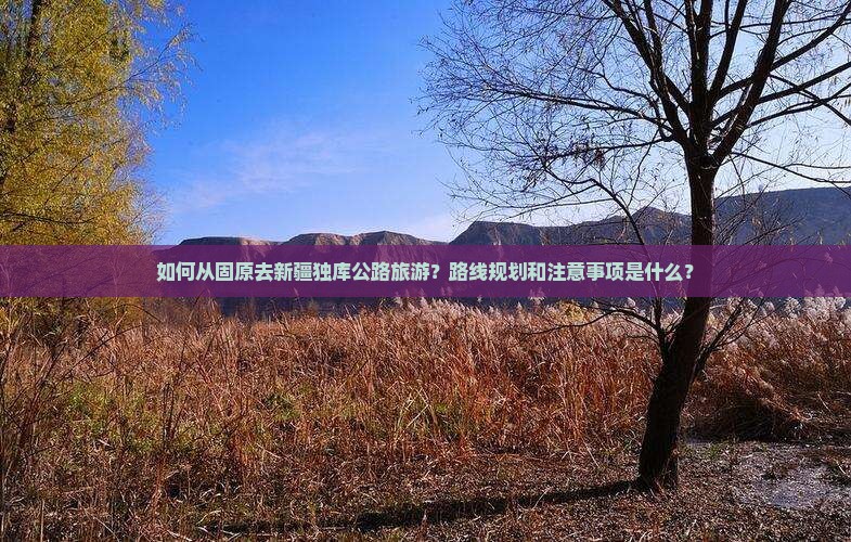 如何从固原去新疆独库公路旅游？路线规划和注意事项是什么？