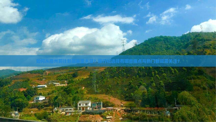 如何从梧州前往新疆赛里木湖？旅行社选择有哪些痛点与热门新词需关注？