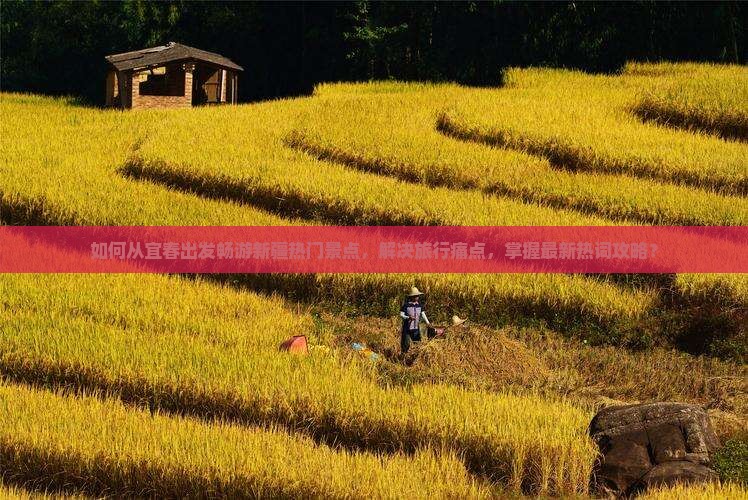 如何从宜春出发畅游新疆热门景点，解决旅行痛点，掌握最新热词攻略？