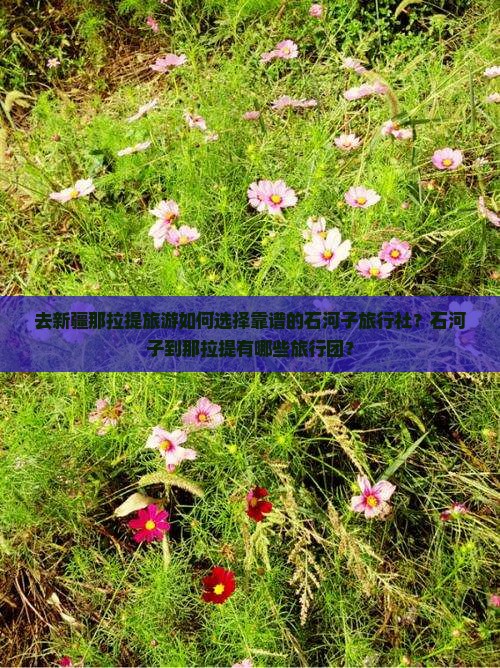 去新疆那拉提旅游如何选择靠谱的石河子旅行社？石河子到那拉提有哪些旅行团？