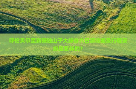 呼伦贝尔至新疆独山子大峡谷六日游攻略及行程安排是怎样的？
