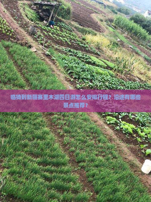 临猗到新疆赛里木湖四日游怎么安排行程？沿途有哪些景点推荐？