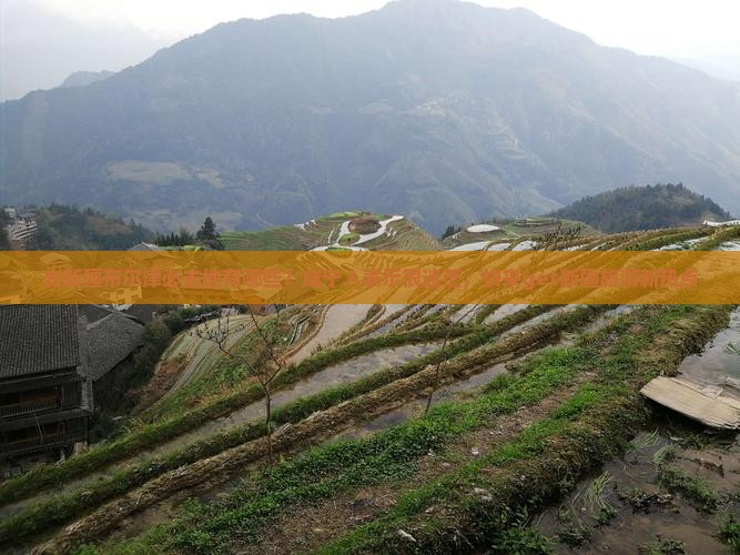 去新疆布尔津必去地有哪些？咸宁人表示很迷茫，快来get新疆旅游新热点