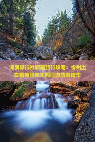 湖南旅行社新疆旅行攻略：忻州出发看新疆禾木四日游旅游精华