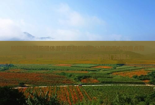 如何解决邵阳团体游客在新疆独库公路旅游中的痛点和难题？独库公路团体游为何成为热门选择？