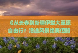 《从长春到新疆伊犁大草原自由行？沿途风景绝美但路途遥远，如何规划最省心？附最新自驾游攻略》