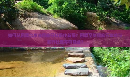 如何从固原出发选择旅行社前往新疆？固原至新疆旅行攻略与旅行社推荐有哪些？
