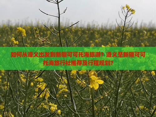 如何从遵义出发到新疆可可托海旅游？遵义至新疆可可托海旅行社推荐及行程规划？