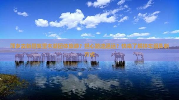萍乡去新疆赛里木湖团体旅游？担心路途遥远？快来了解拼车组队新方式