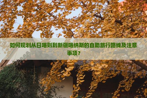 如何规划从日喀则到新疆喀纳斯的自助旅行路线及注意事项？