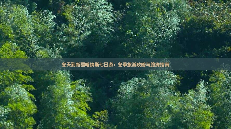 冬天到新疆喀纳斯七日游：冬季旅游攻略与路线指南