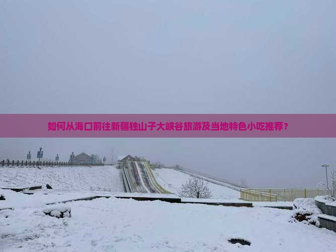 如何从海口前往新疆独山子大峡谷旅游及当地特色小吃推荐？