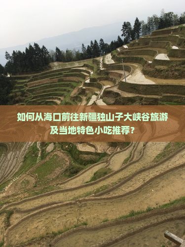 如何从海口前往新疆独山子大峡谷旅游及当地特色小吃推荐？