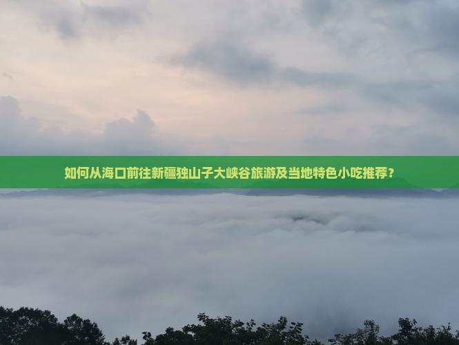 如何从海口前往新疆独山子大峡谷旅游及当地特色小吃推荐？