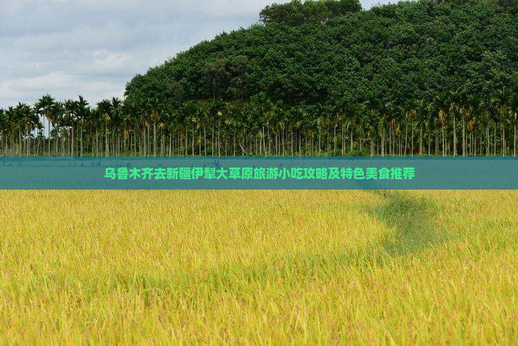 乌鲁木齐去新疆伊犁大草原旅游小吃攻略及特色美食推荐