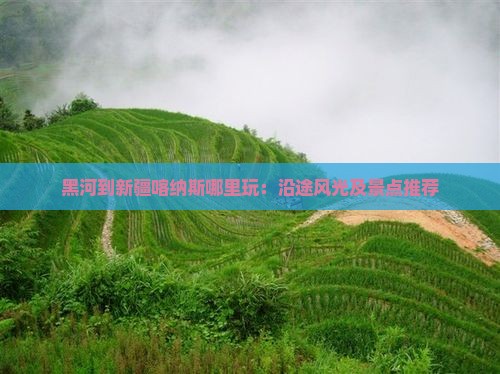 黑河到新疆喀纳斯哪里玩：沿途风光及景点推荐