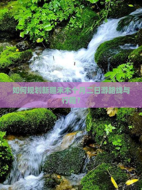 如何规划新疆禾木十月二日游路线与行程？