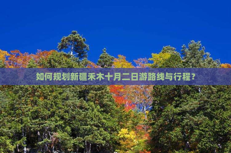 如何规划新疆禾木十月二日游路线与行程？