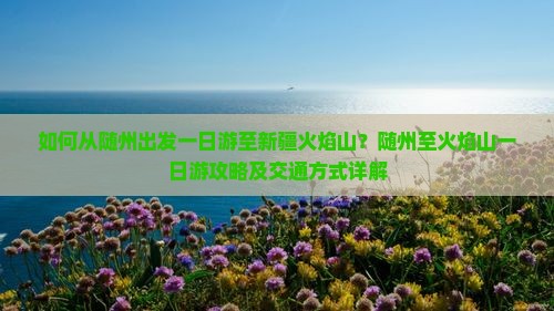 如何从随州出发一日游至新疆火焰山？随州至火焰山一日游攻略及交通方式详解