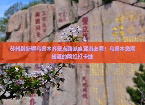 苏州到新疆乌鲁木齐景点路峡自驾游必看！乌鲁木急需知道的网红打卡地