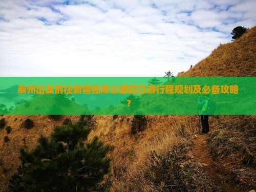 泰州出发前往新疆独库公路四日游行程规划及必备攻略？