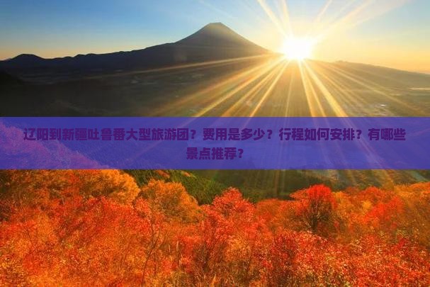 辽阳到新疆吐鲁番大型旅游团？费用是多少？行程如何安排？有哪些景点推荐？