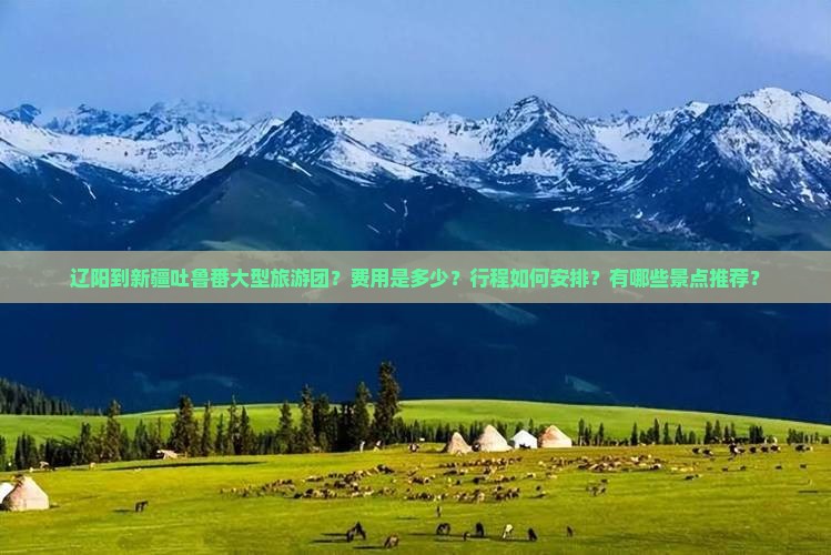 辽阳到新疆吐鲁番大型旅游团？费用是多少？行程如何安排？有哪些景点推荐？