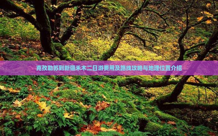 克孜勒苏到新疆禾木二日游费用及路线攻略与地理位置介绍