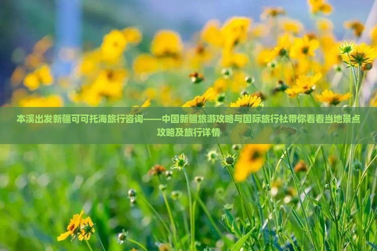 本溪出发新疆可可托海旅行咨询——中国新疆旅游攻略与国际旅行社带你看看当地景点攻略及旅行详情