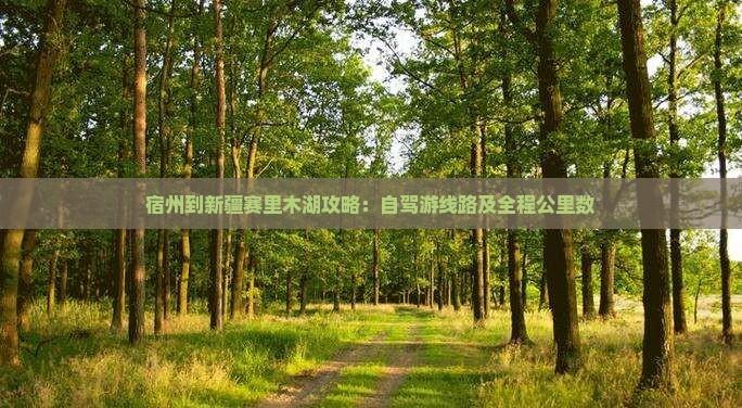 宿州到新疆赛里木湖攻略:自驾游线路及全程公里数 宿州到新疆赛里木湖攻略:自驾游线路及全程公里数
