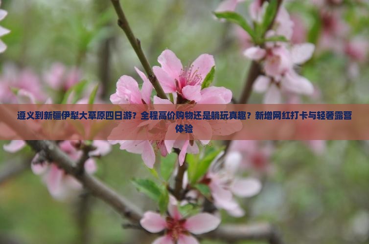 遵义到新疆伊犁大草原四日游？全程高价购物还是躺玩真趣？新增网红打卡与轻奢露营体验