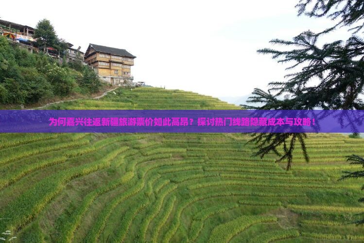 为何嘉兴往返新疆旅游票价如此高昂？探讨热门线路隐藏成本与攻略！