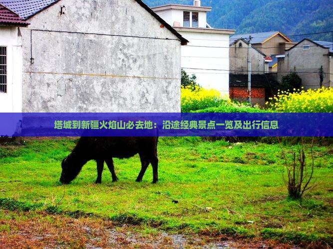塔城到新疆火焰山必去地：沿途经典景点一览及出行信息
