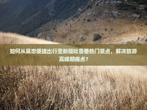如何从吴忠便捷出行至新疆吐鲁番热门景点，解决旅游高峰期痛点？
