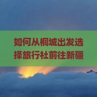 如何从桐城出发选择旅行社前往新疆天山天池旅游？