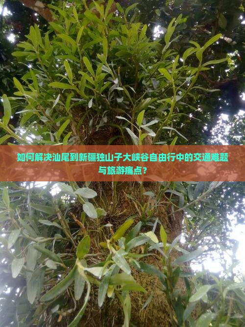 如何解决汕尾到新疆独山子大峡谷自由行中的交通难题与旅游痛点？