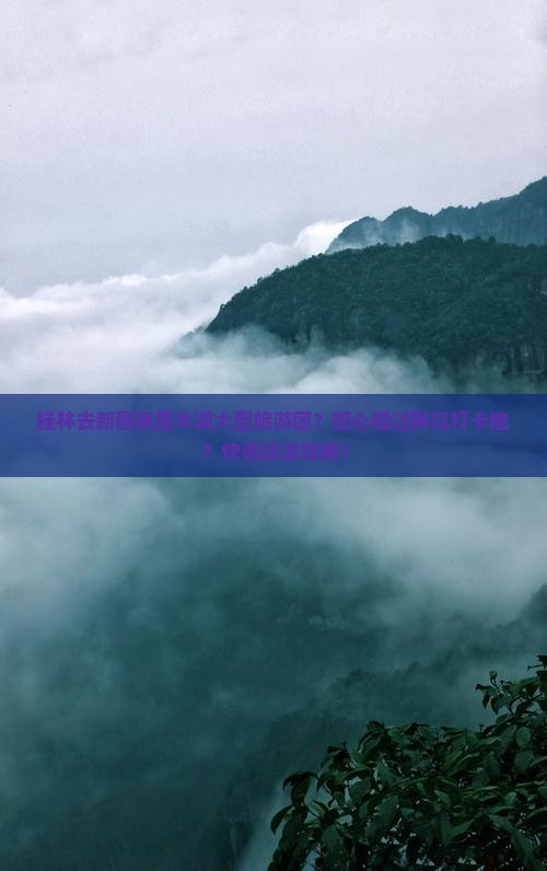 桂林去新疆赛里木湖大型旅游团？担心错过网红打卡地？快看这波攻略！