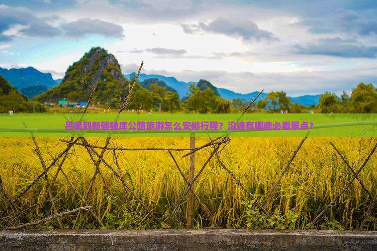 吕梁到新疆独库公路旅游怎么安排行程？沿途有哪些必看景点？