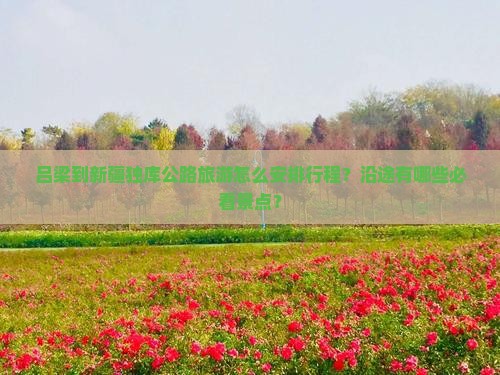 吕梁到新疆独库公路旅游怎么安排行程？沿途有哪些必看景点？