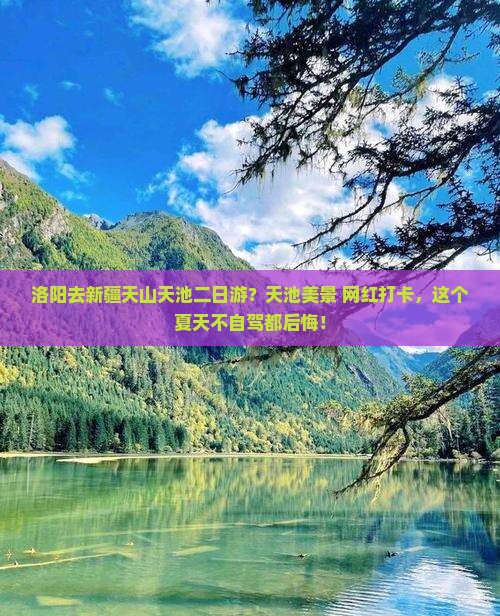 洛阳去新疆天山天池二日游？天池美景+网红打卡，这个夏天不自驾都后悔！