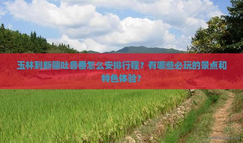 玉林到新疆吐鲁番怎么安排行程？有哪些必玩的景点和特色体验？