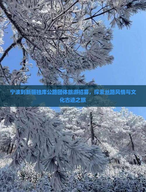 宁波到新疆独库公路团体旅游招募，探索丝路风情与文化古迹之旅