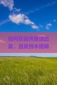 如何在德州便捷出发，直抵纳木措畅游？如何规避旅行痛点，享受新词定义的自由行？